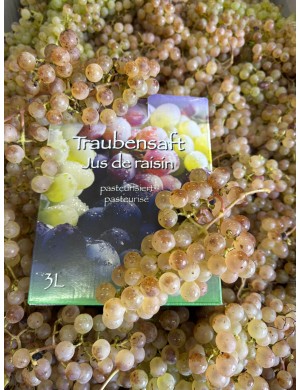 Jus de raisin 3L BIO CH006