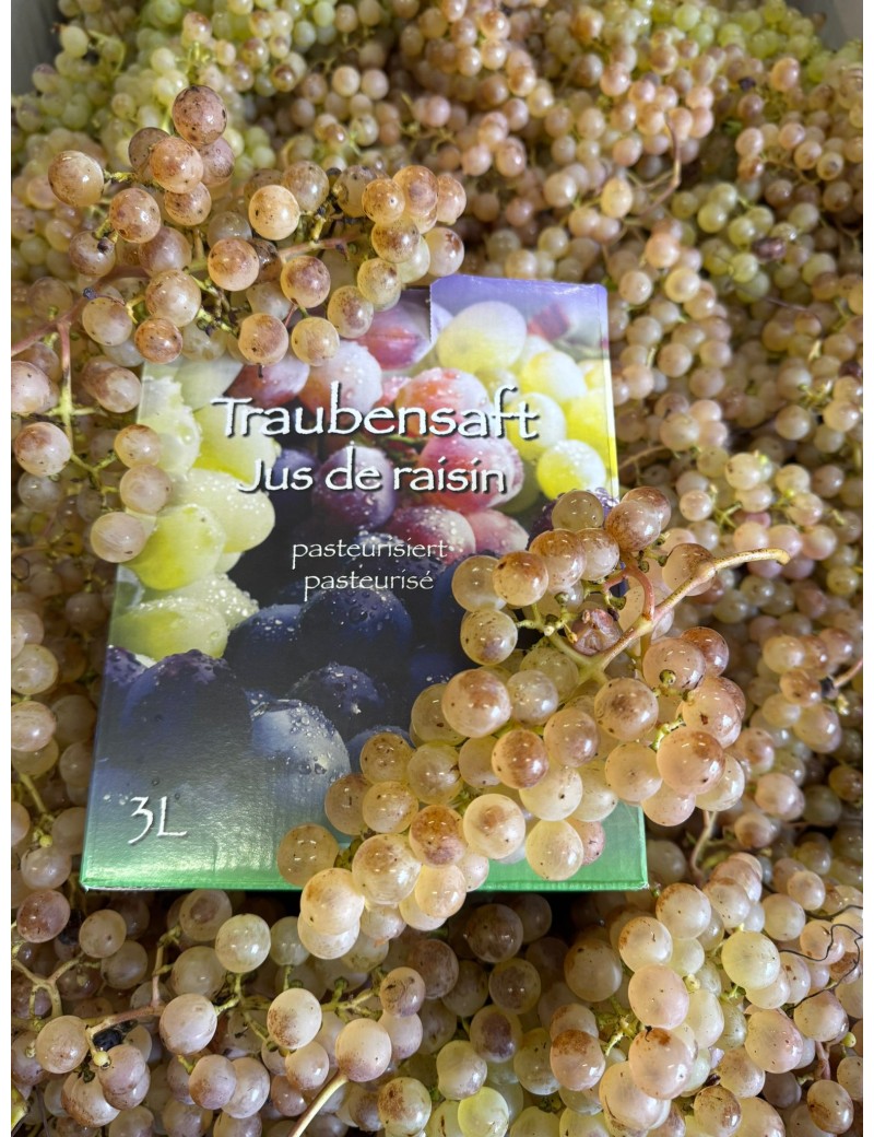 Jus de raisin 3L BIO CH006